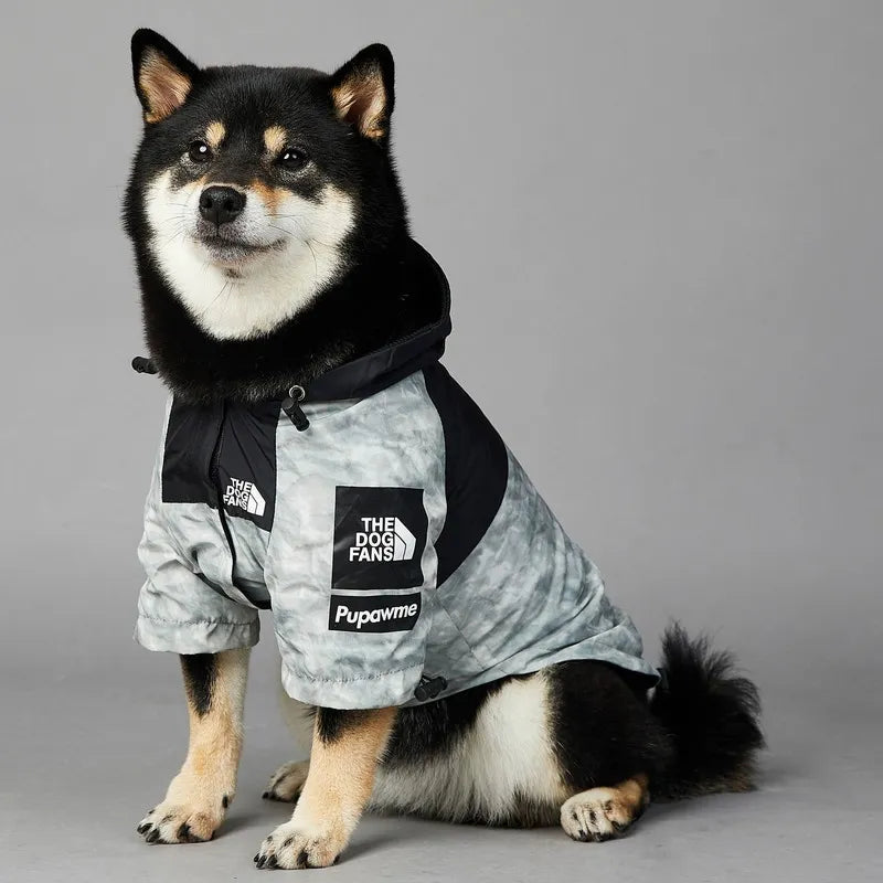 Windbreaker Jacket