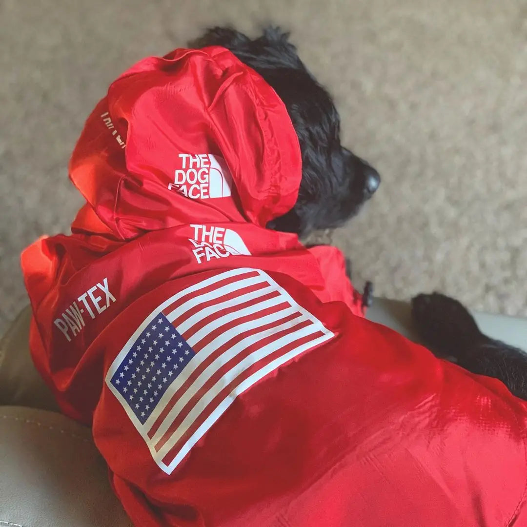 Lightweight Reflective Raincoat