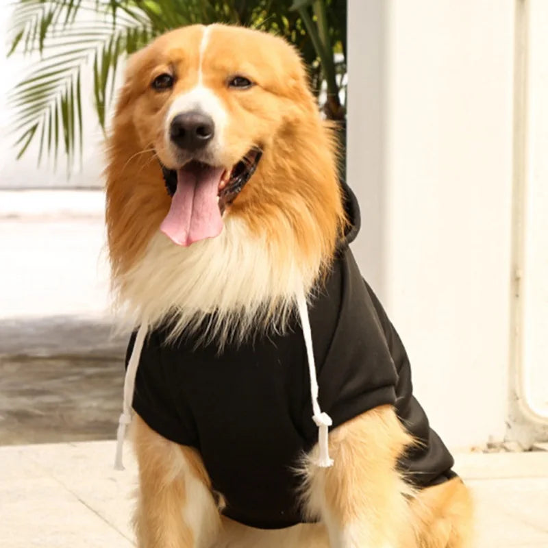 Lightweight Dog Hoodie