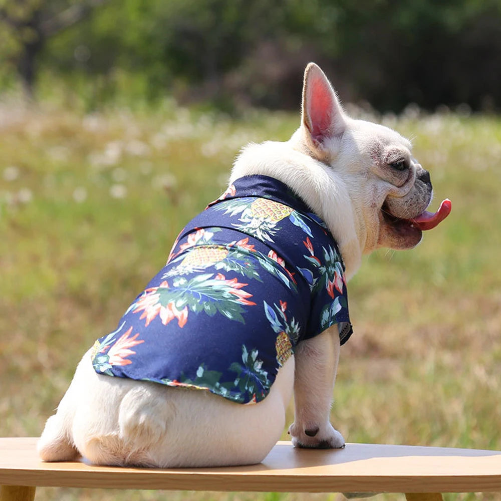 Summer Shirts for Dogs