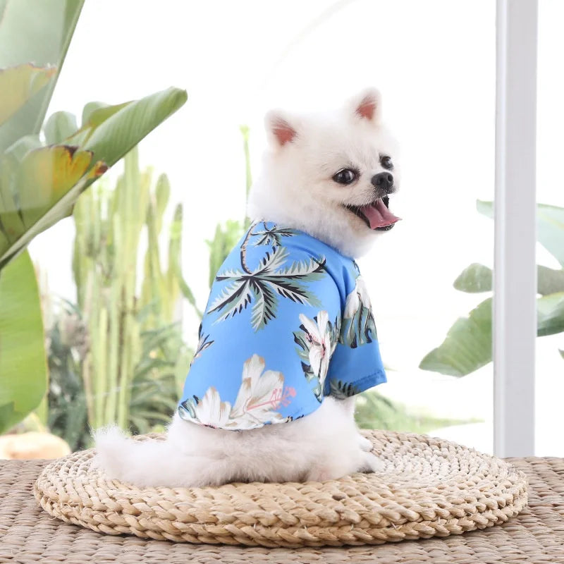 Summer Shirts for Dogs