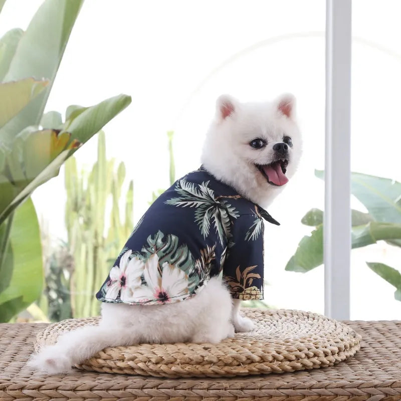 Summer Shirts for Dogs